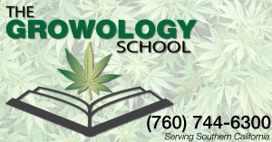 Growology school san diego learn to grow cannabis classes