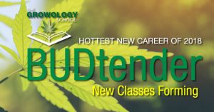 Learn budtender cannabis jobs san diego
