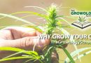 learn to grow marijuana schools