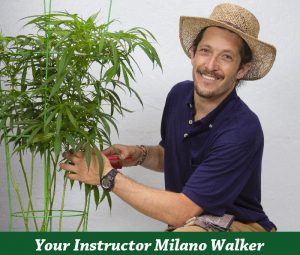 milano walker learn to grow